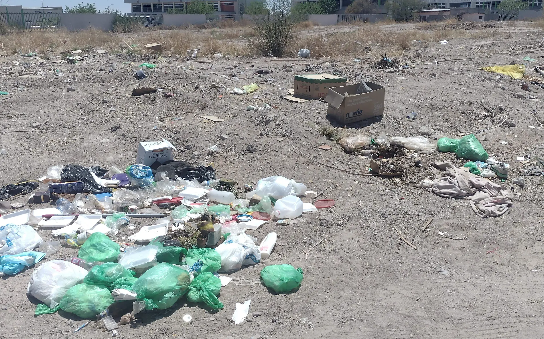 Basura gorki 